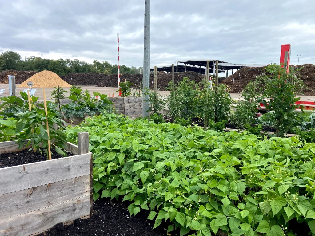 jardin centre de compostage legumes opt
