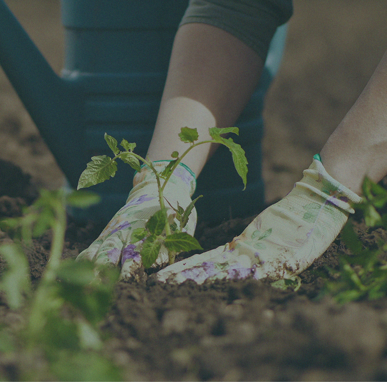 valterra compost copeaux biologique